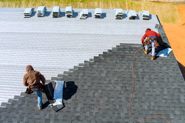 Best Flat Roof Repair Services  in George, IA