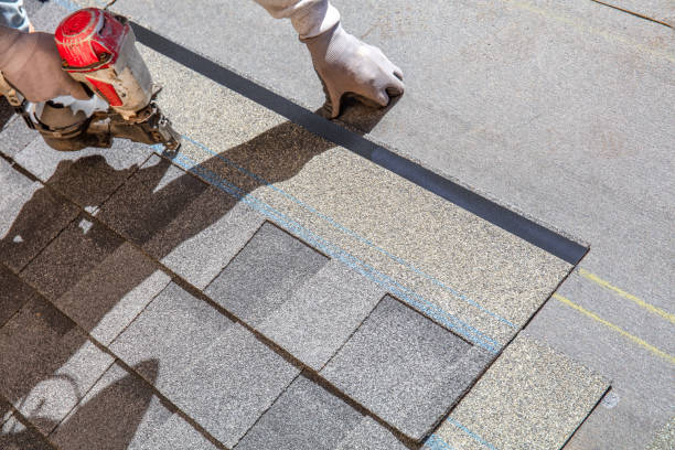 Best Metal Roofing Contractor  in George, IA