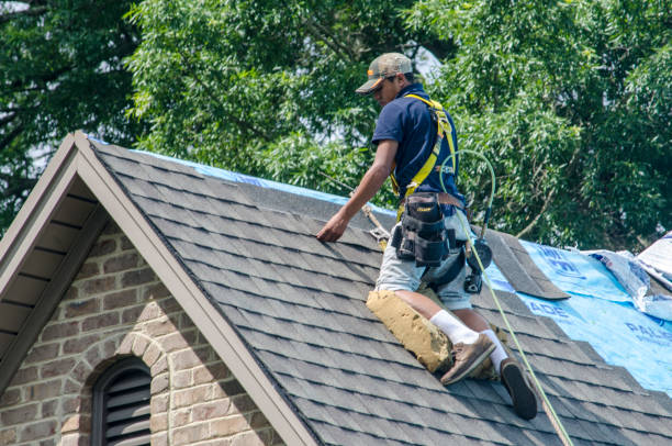 Best Residential Roofing Contractor  in George, IA